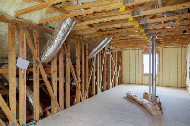 Best Insulation Removal  in Redwood City, CA